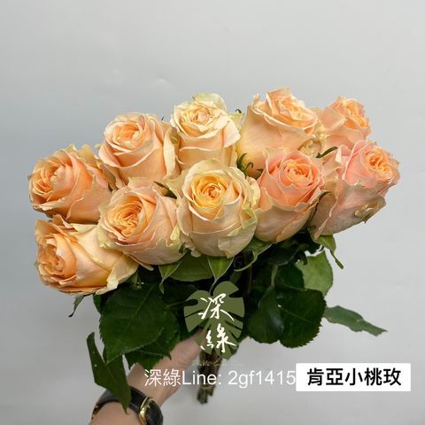 image_91ADD040-E818-4A28-BA00-4F597E909DBF_1754899551