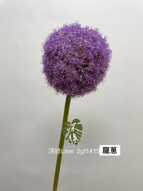 messageImage_1754900902092