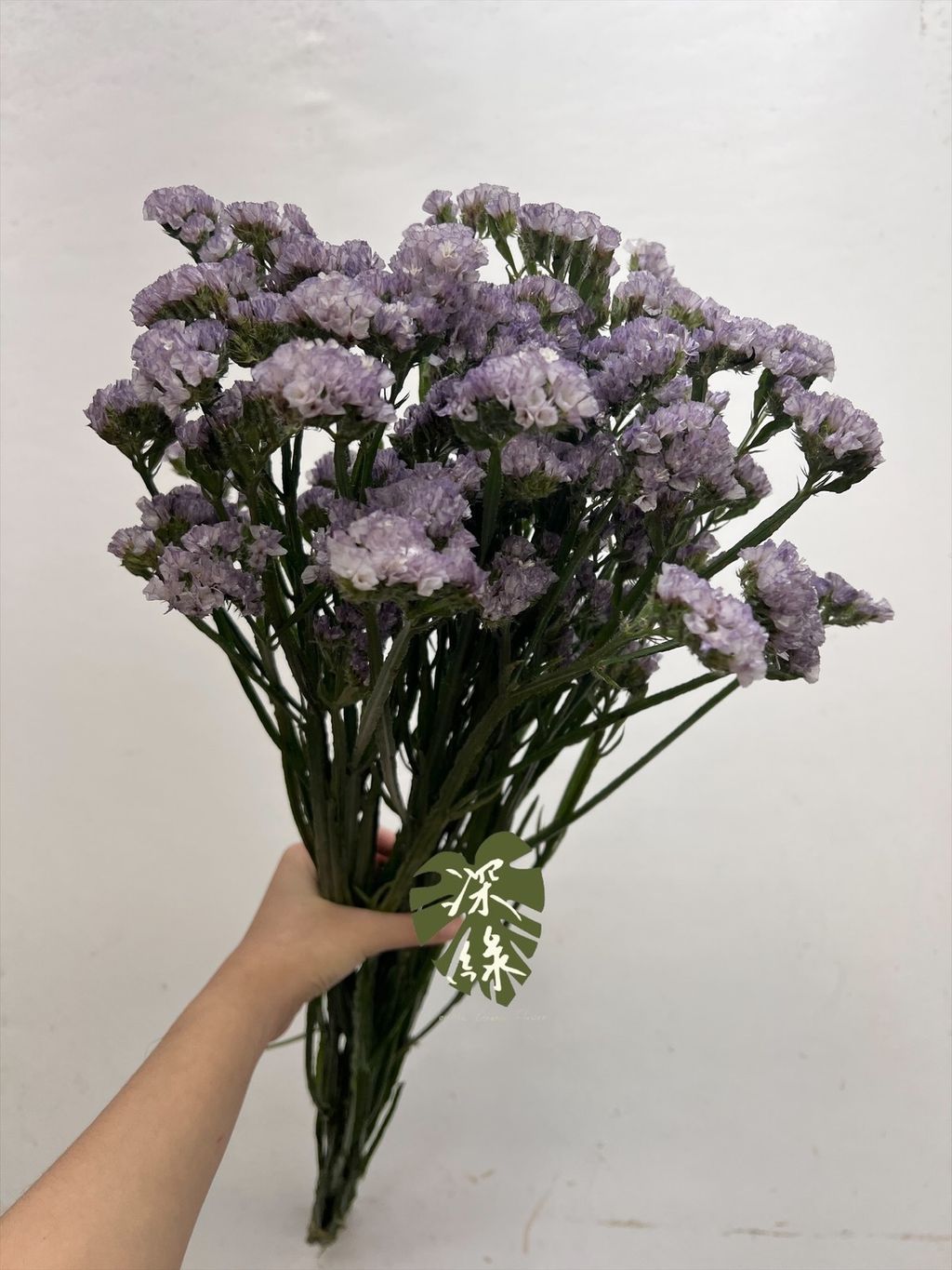 image_C9776745-8F64-47EE-855C-A8AA3A979B74_1754964621