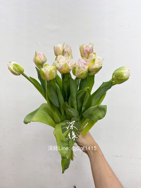 image_2FBD133D-7397-4E04-ADD8-350BA7E6E97D_1754966041