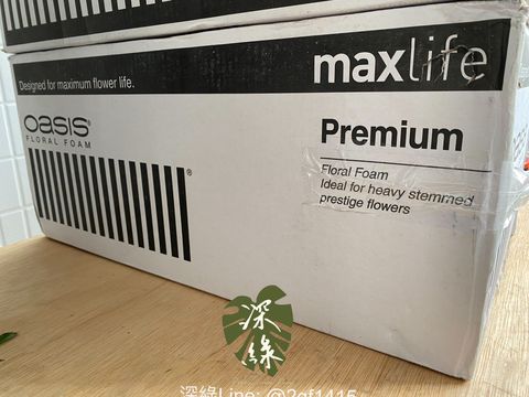 S__31244416_0