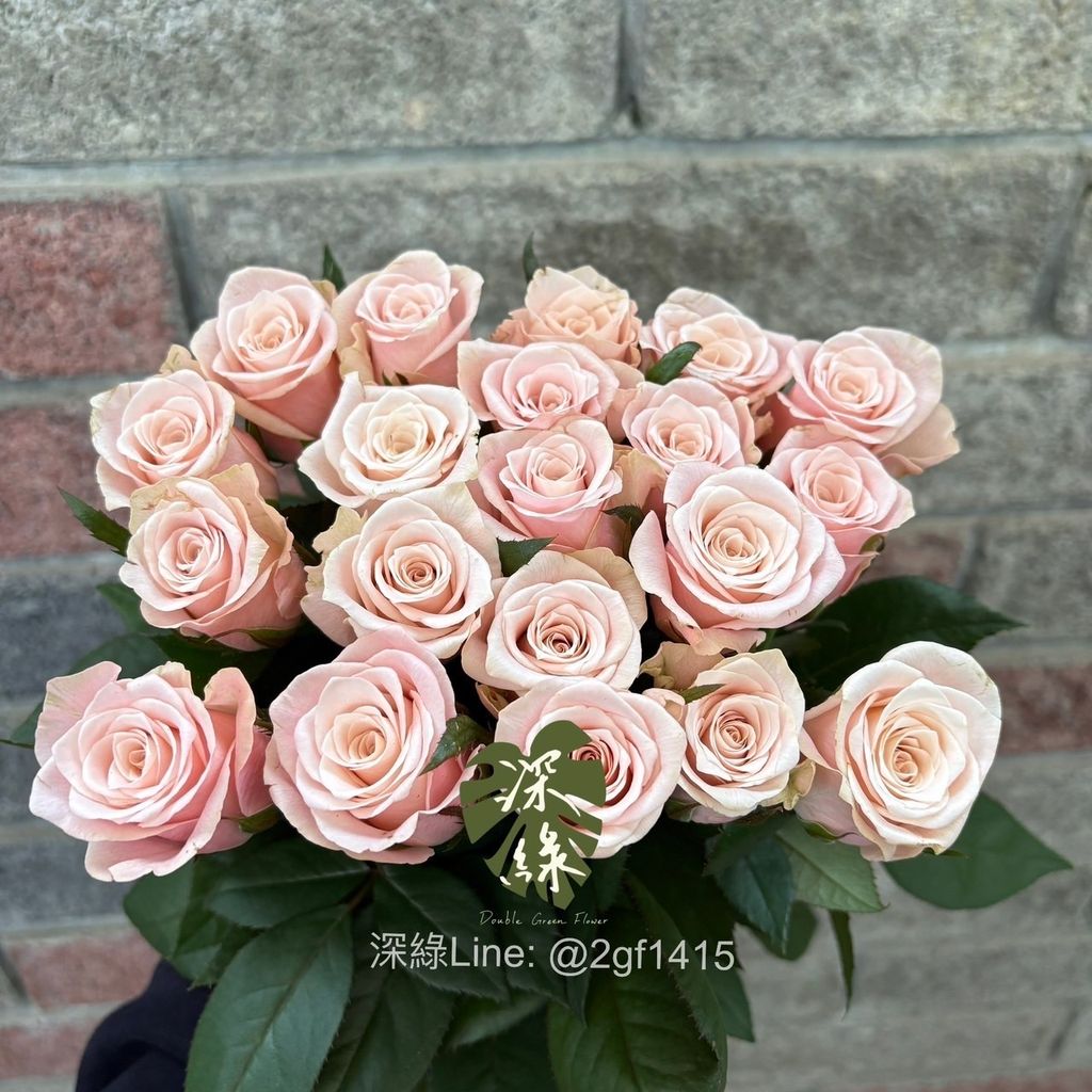 image_DADE7AF8-934E-406B-9699-FE9D8EB00C22_1754554883