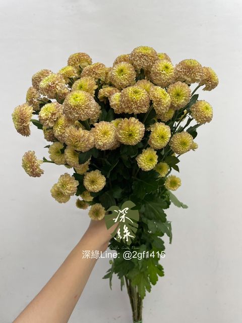 image_6F159996-21A2-4B22-AB49-A4A26A622FDF_1755050507