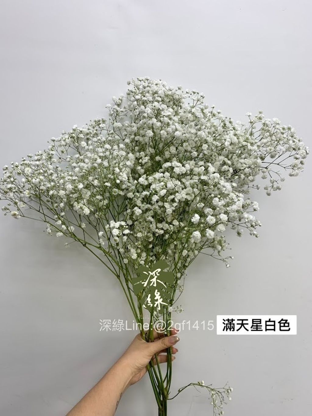 AIL4fc_vePkrnNJ4hqmH5qAw-ZFsEVGwGMKpKvXpO4ApsoNoYwXPx6dJJXVp6fKxXV_Y9tVSXE9Oiz9Vb14KfPuUKduOGbIu0AA6Q8Z2dfb0D0ASp2VmnlmqubnDHfIAXS4b8RWQHSckFTVNahx2KmFuo8E8=w634-h845-s-no