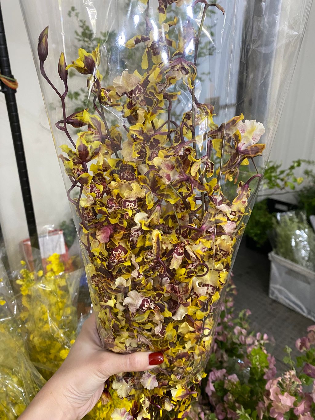 B0432916-48F1-4CC5-9C51-ABDE91D610CB