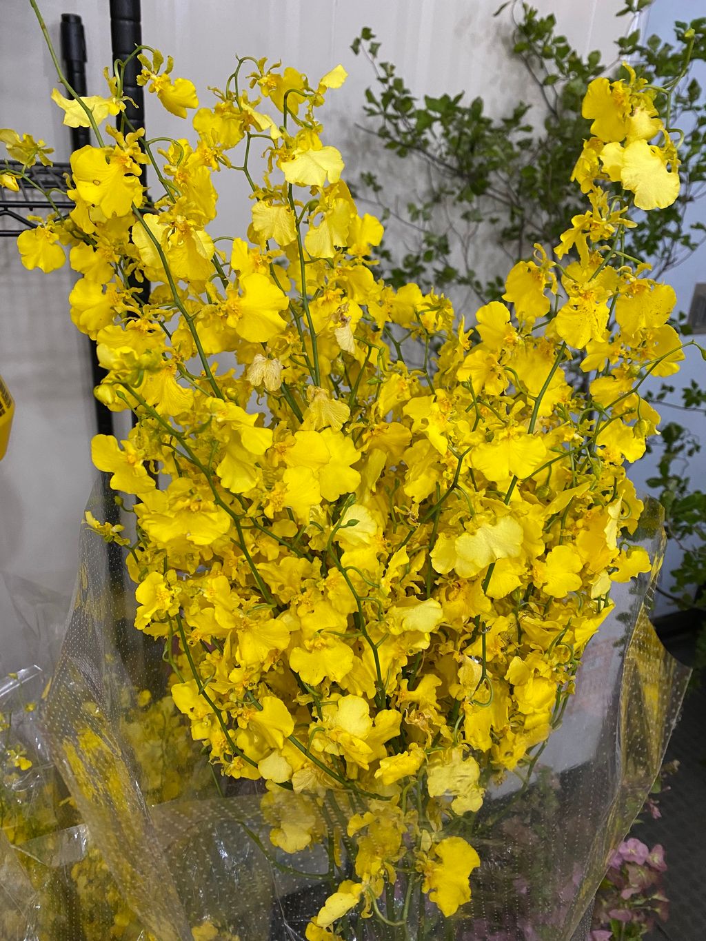 E4AEDE92-F8A6-4221-9025-F7210A1C8E17