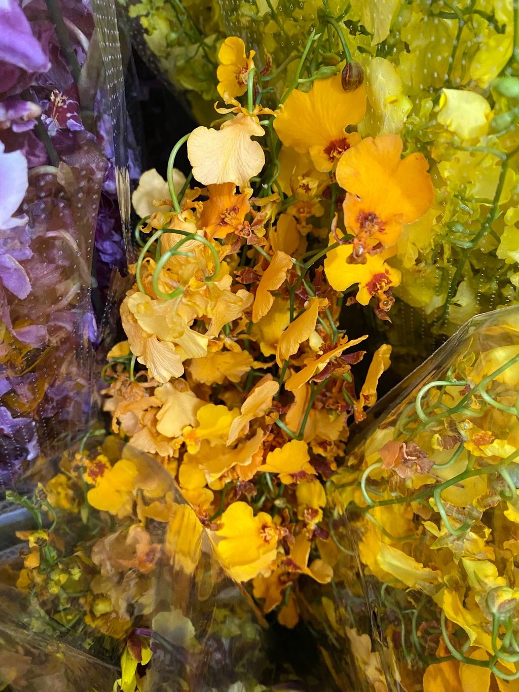 84CF010F-377D-4AA2-ADE1-238F22AB8BA2