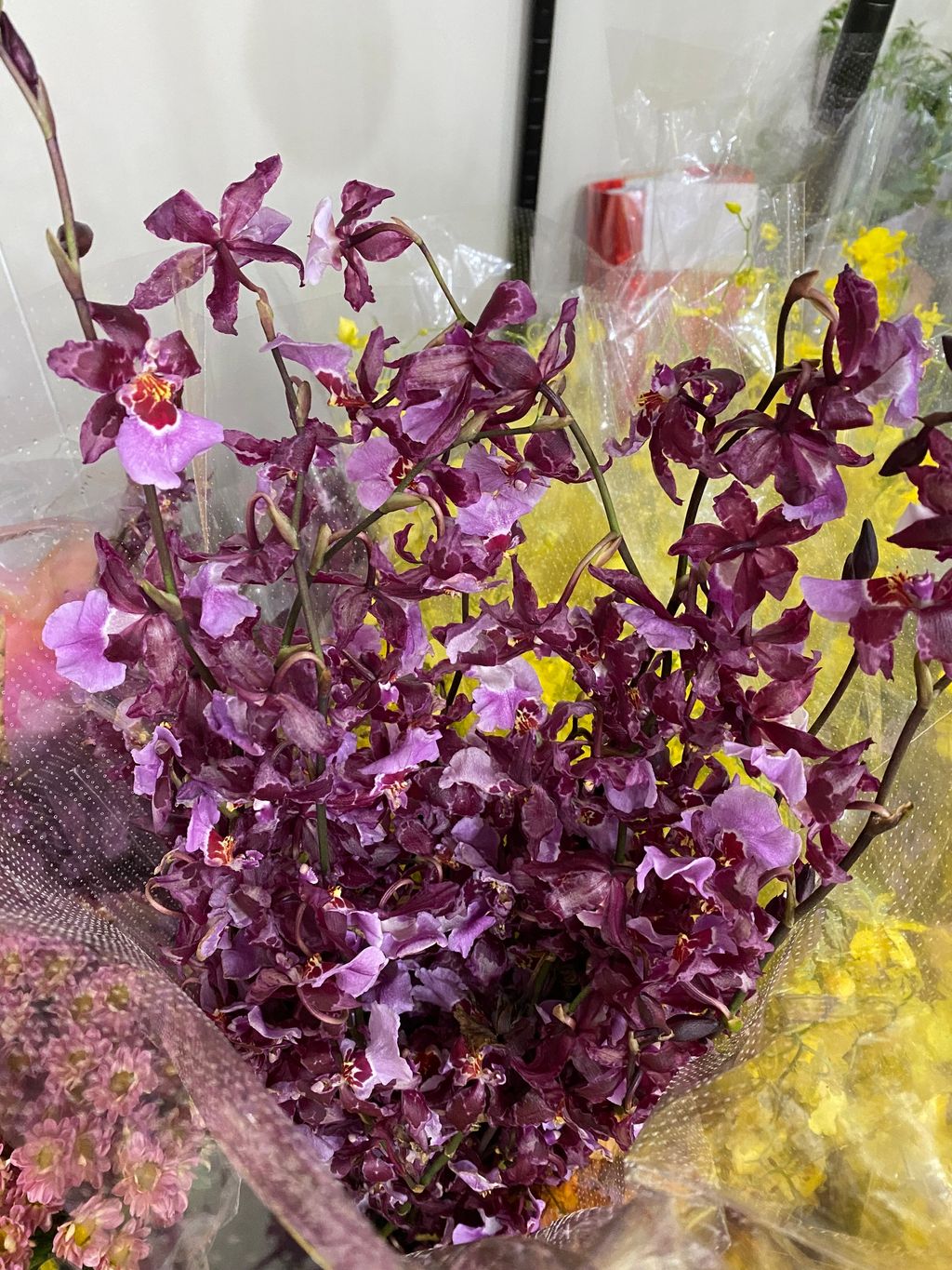 2CB9FF61-3A94-4AB4-B797-AC5FAAF7B1F8