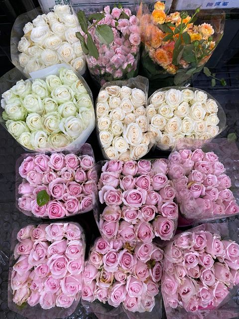 769CA883-7E08-48D4-8D6D-A2A753E7CF9D