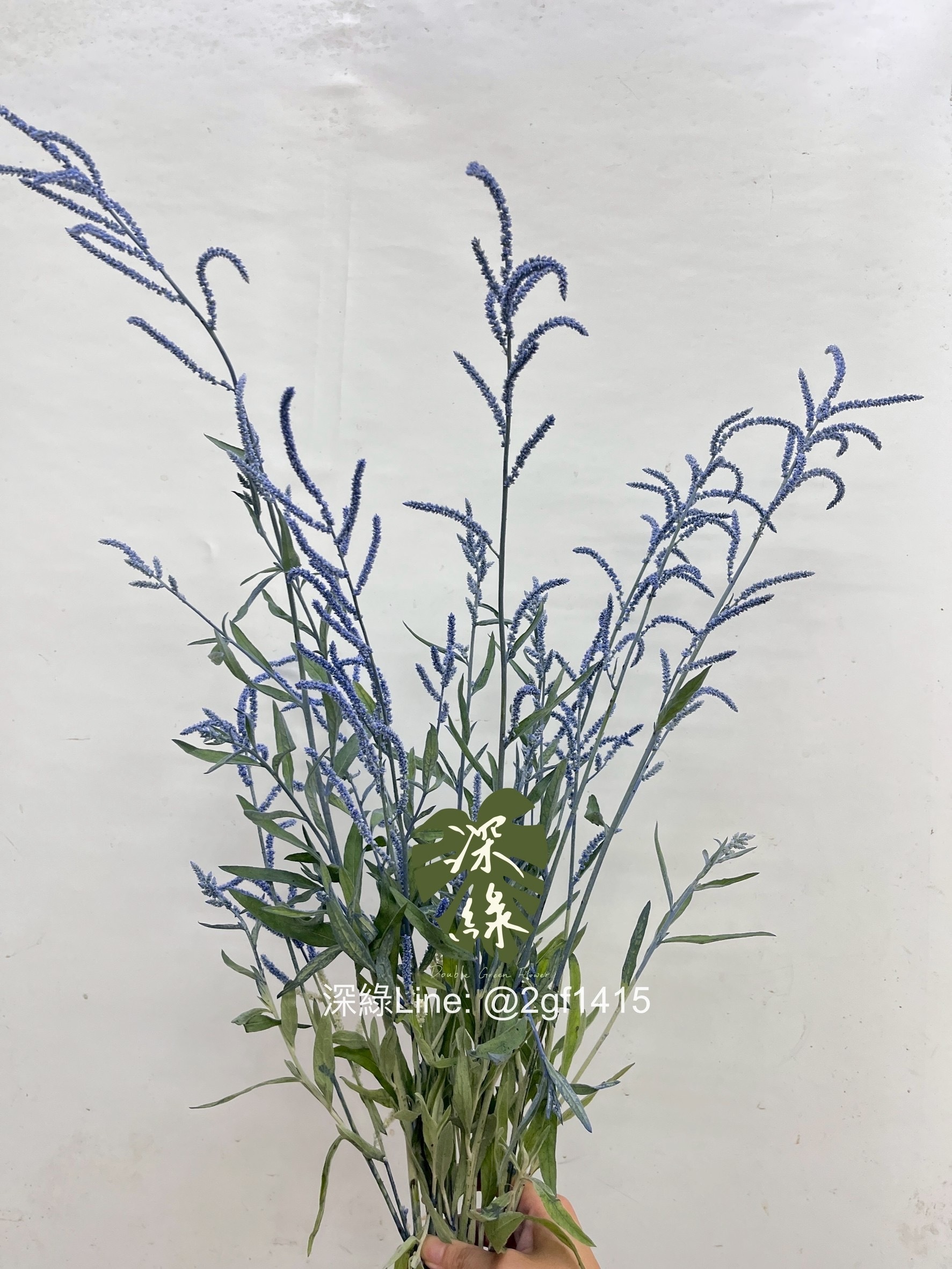 所有商品– 深綠花卉