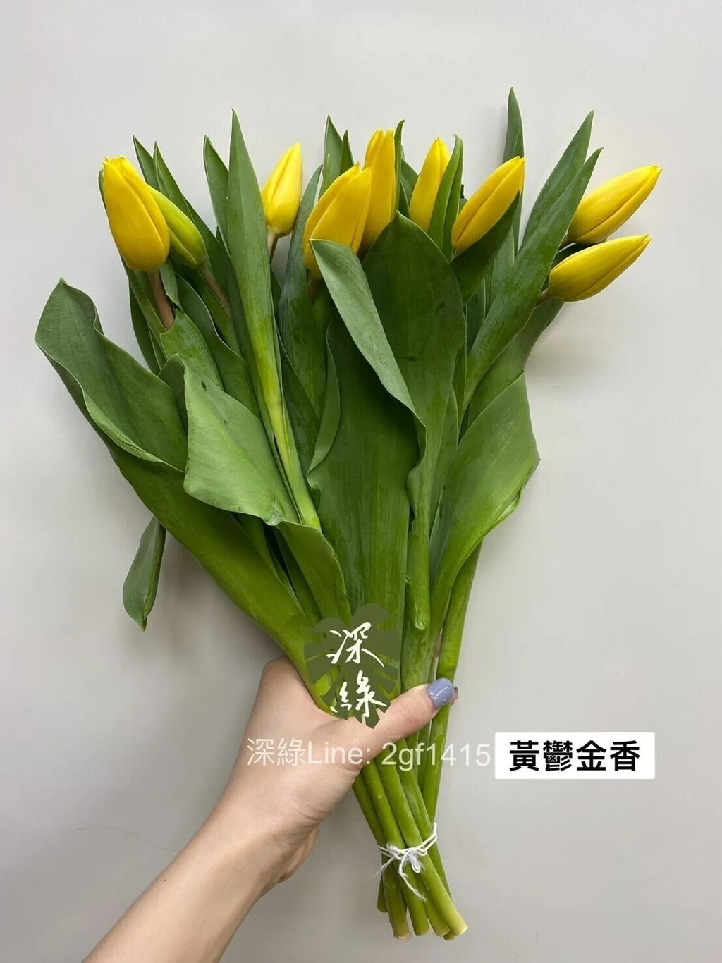 messageImage_1755408345750_0