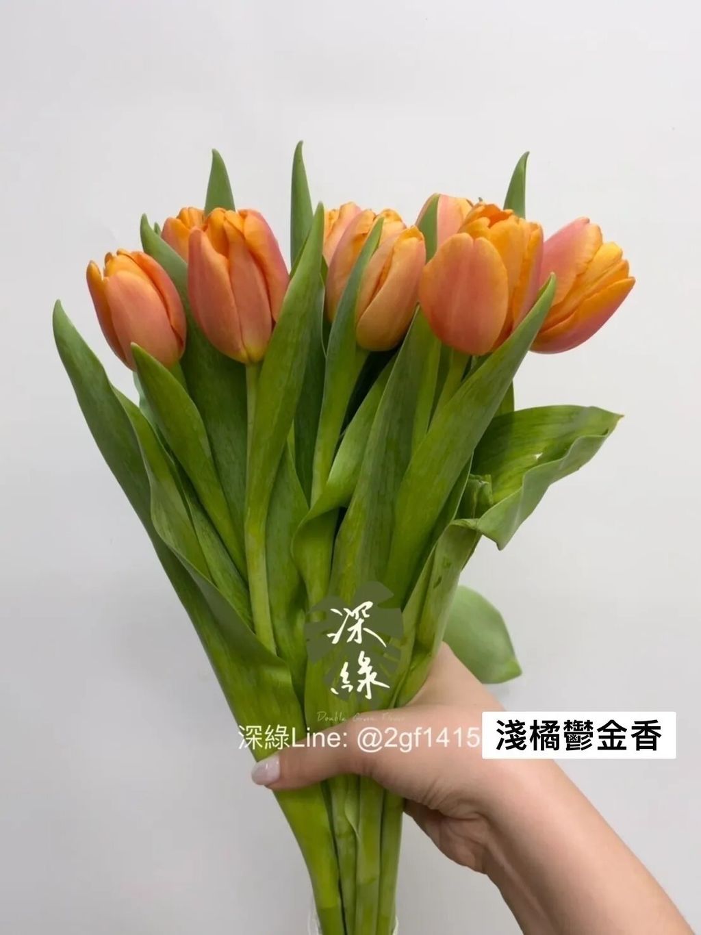 messageImage_1755408409296_0