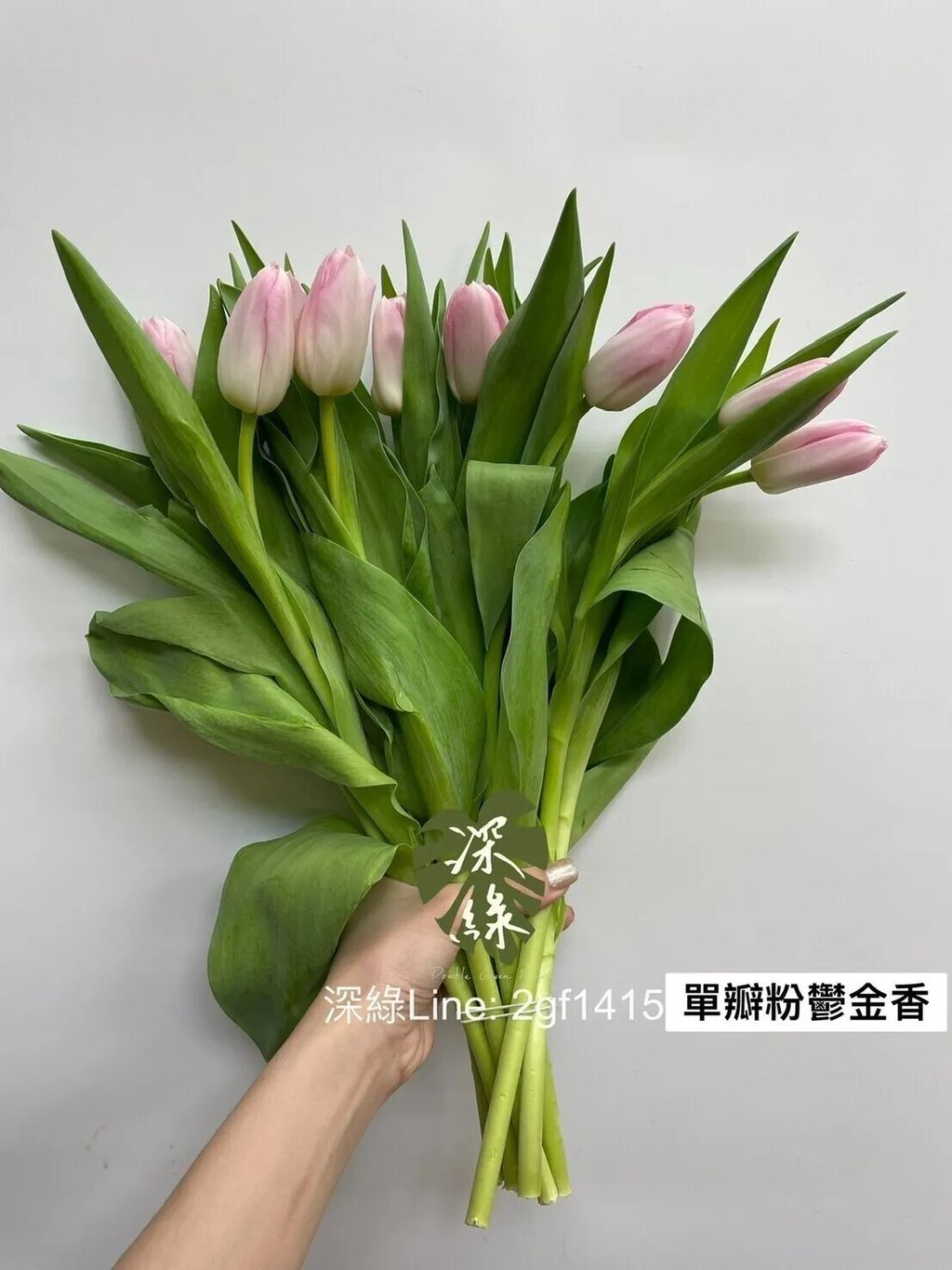 messageImage_1755408371615_0