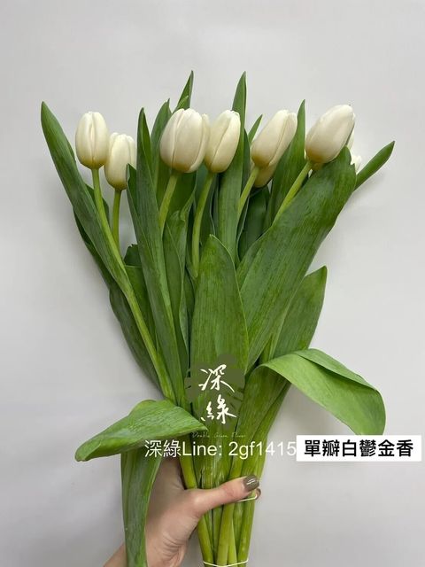 messageImage_1755408333315_0