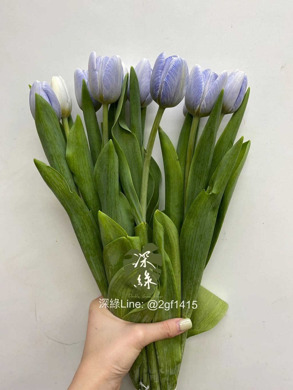 messageImage_1755408384350_0