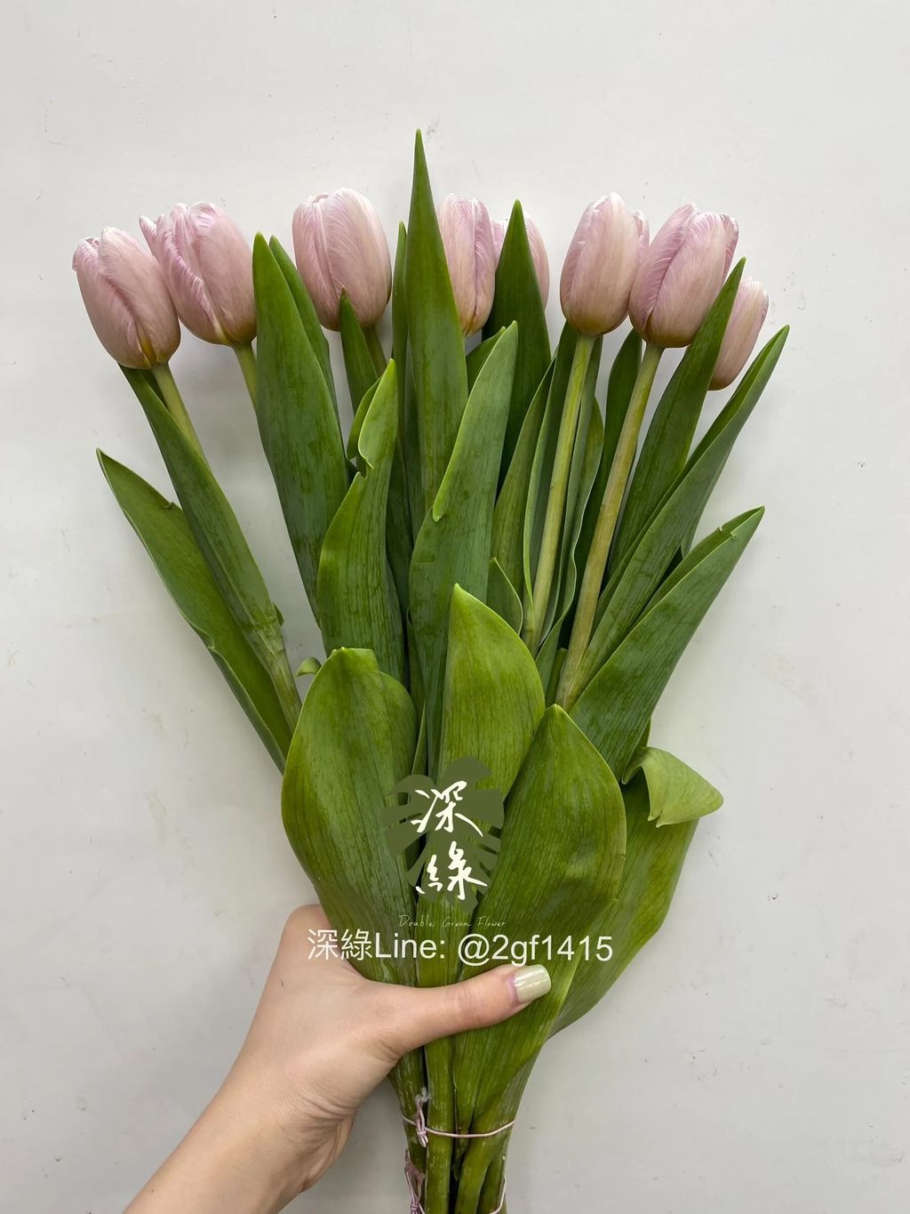 messageImage_1755410599896