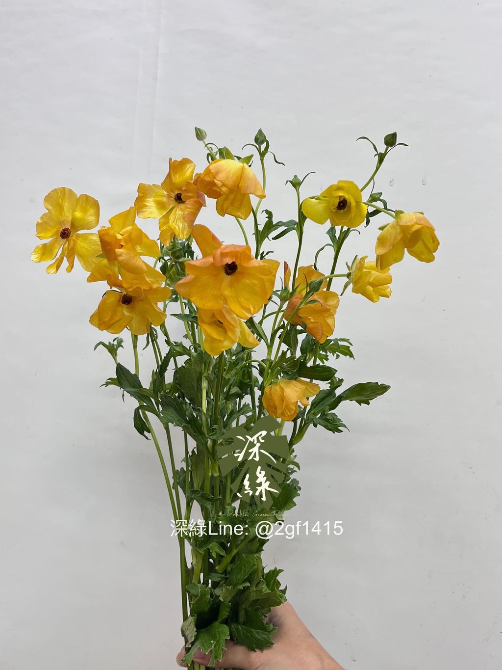 image_4EBE9F6A-2F25-40DB-9085-B24FD11382F6_1755489660