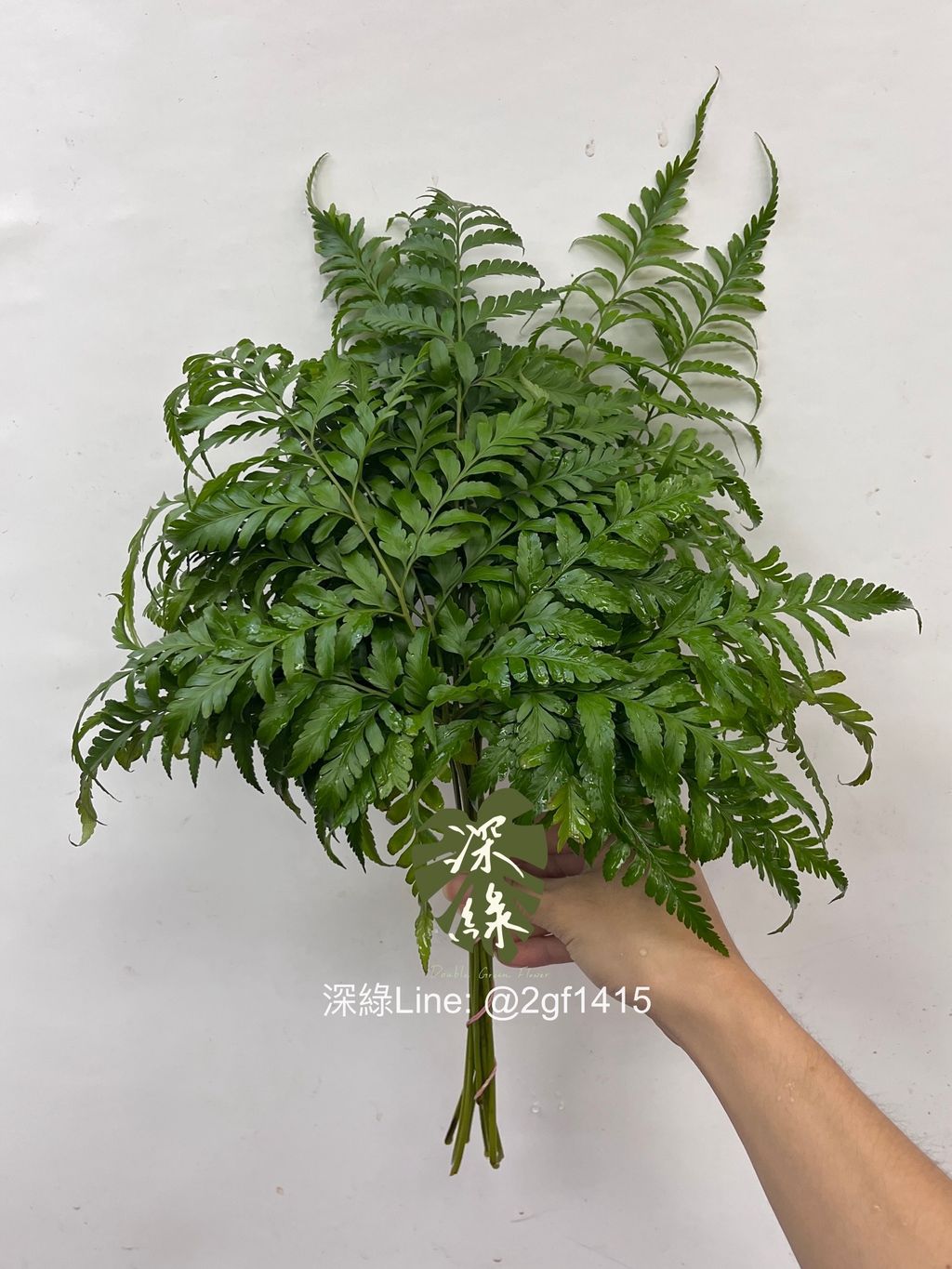 image_98361348-3B9D-4FDE-ADF0-2304ABDE9225_1755909948