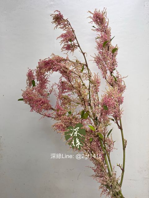 image_BC85376C-815A-423A-BD89-951C5B2BA0EF_1755910051
