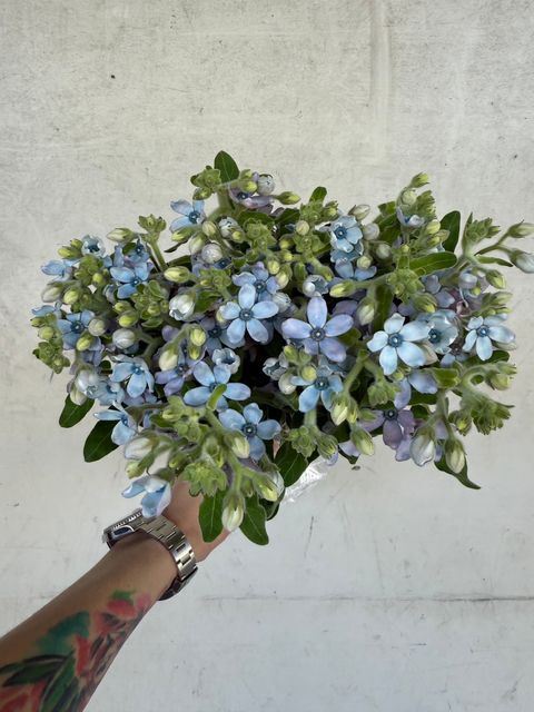 image_EA3BE550-80DF-49BC-88FB-D63FAA8B42F0_1756008227