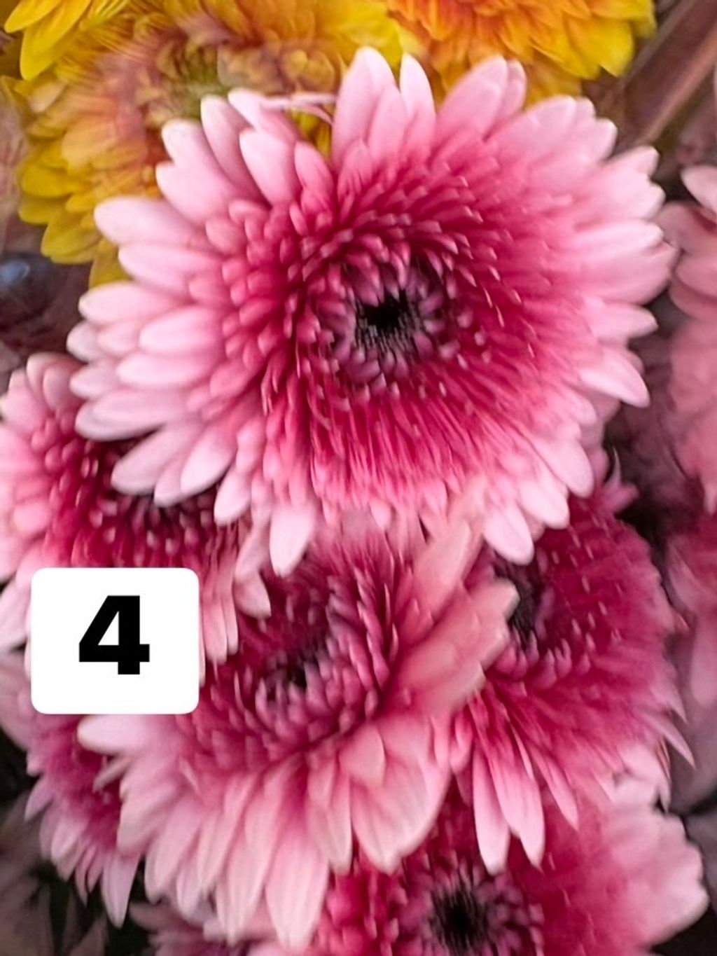 image_D5F4ADE4-C5E9-46EB-B23F-EEFCA2AC7CFD_1756023371