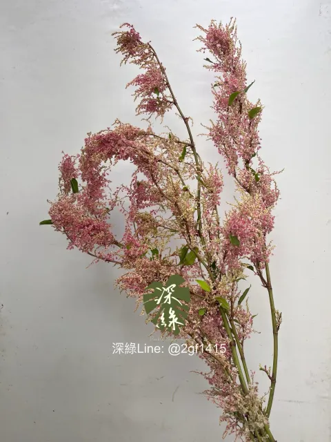 image_BC85376C-815A-423A-BD89-951C5B2BA0EF_1755910051