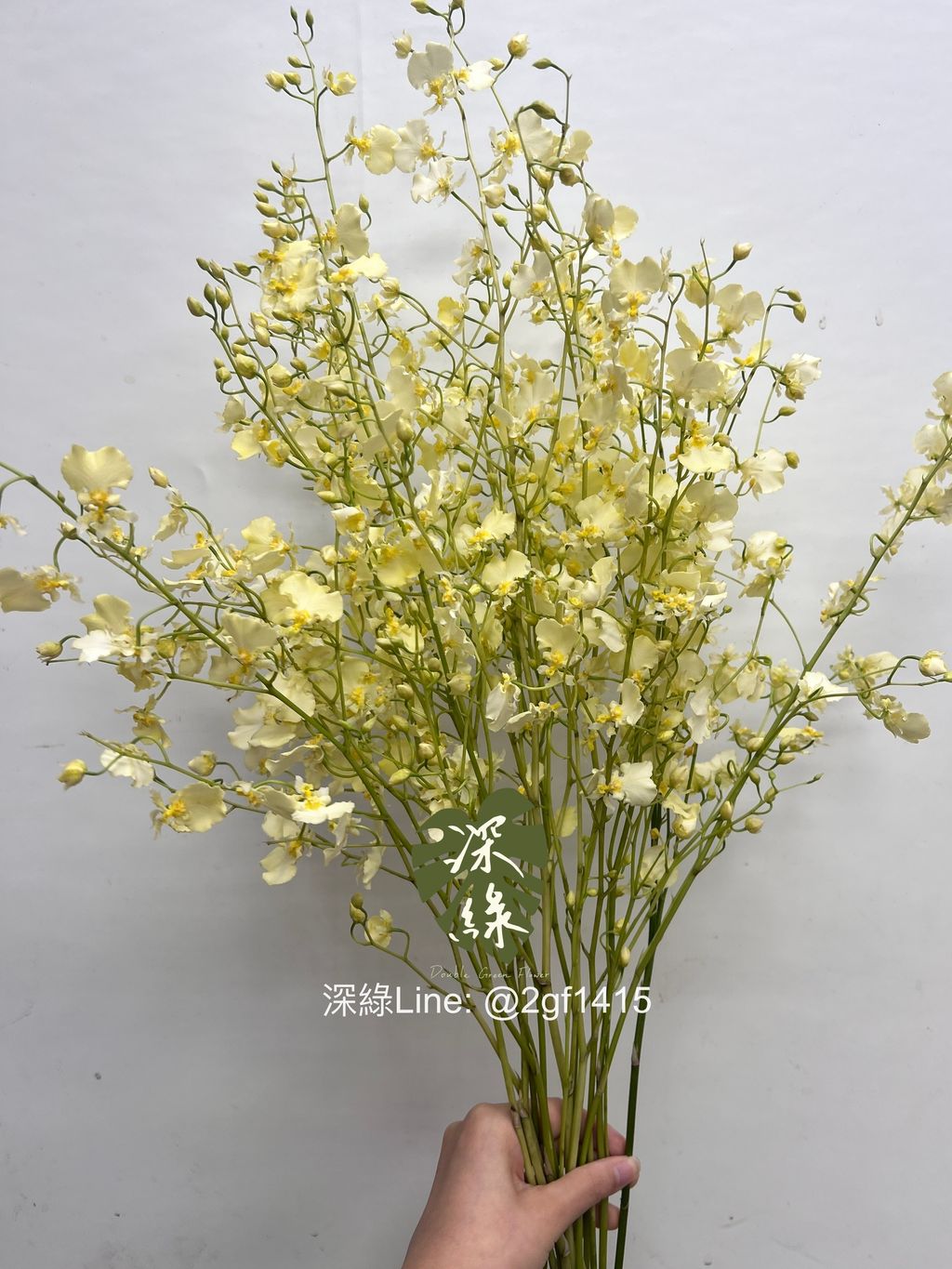 image_2CA02842-FD16-489D-8179-EE2FF244C1F7_1755834293