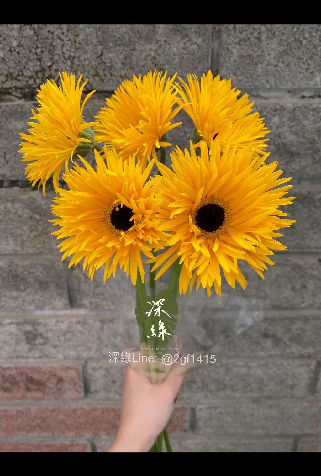 image_45BD442E-1802-40CE-B7B9-CB6A04008438_1756696882