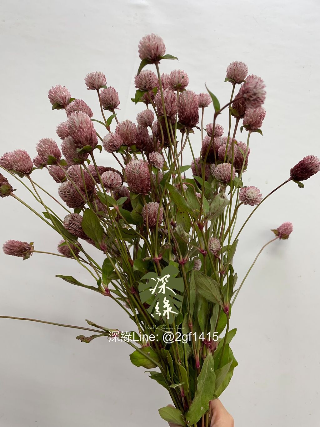 image_8030A33A-E141-422F-8E4D-1EA75DBC006D_1756699011