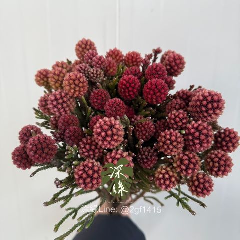 image_304D9349-89E1-4DEE-B0E8-3675DD96C6E0_1756885102
