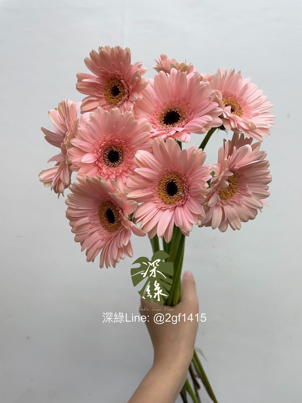 image_B485F75B-6B9E-4B4C-AC31-BE9346FD2074_1756952952