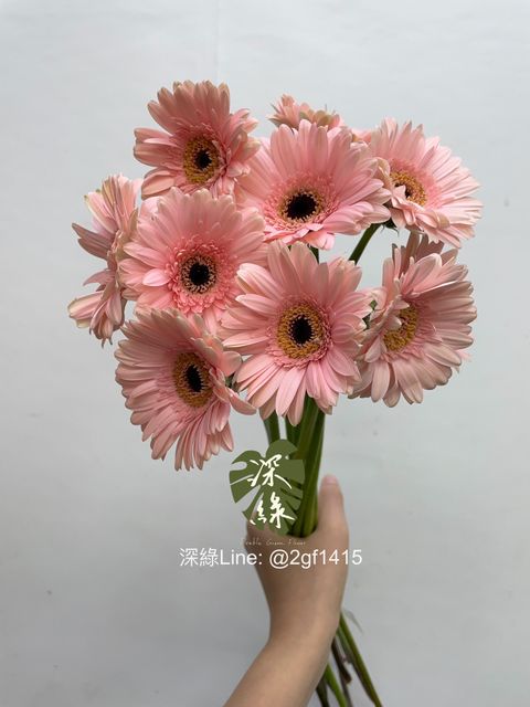 image_B485F75B-6B9E-4B4C-AC31-BE9346FD2074_1756952952