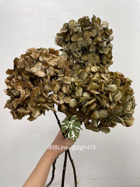 image_FA610DF9-3C01-4F2B-899B-E07CD5F75488_1756955649