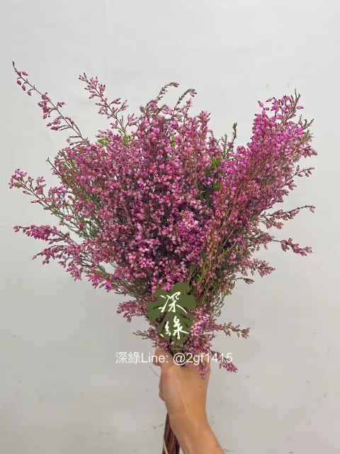 image_0D0D5847-35D8-4BB5-95CC-C559C7A82A5C_1755053798