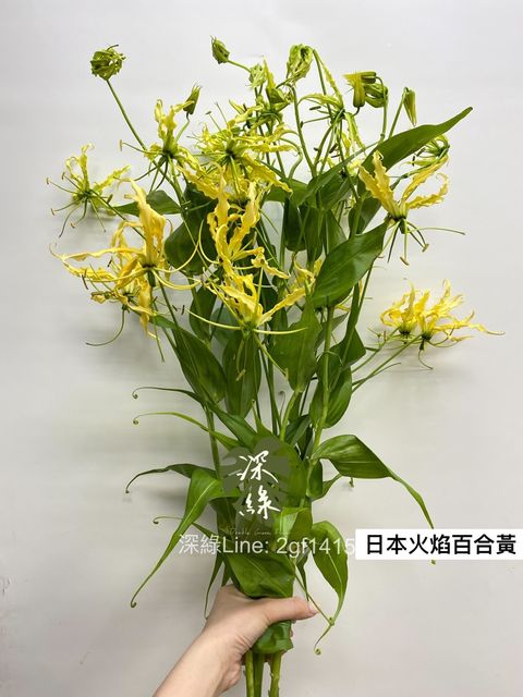 85A99DA0-D027-4A49-9C14-BA66BF9CB3AE