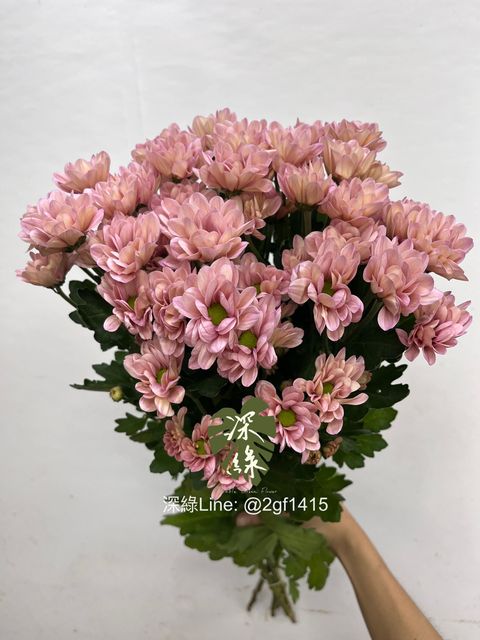 image_CF83E62E-9DD6-49D8-82E6-C38594FD29AD_1756698957