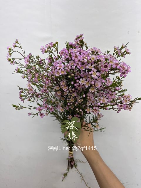 image_BAD52650-E9DD-4D13-BFD5-AEB7C0F416B8_1757910882