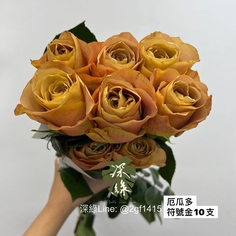 S__3309648