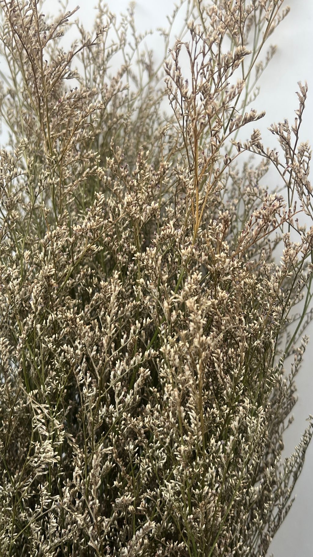 image_F95E14C1-0869-4EFE-8A8A-666A42CA9015_1758096205