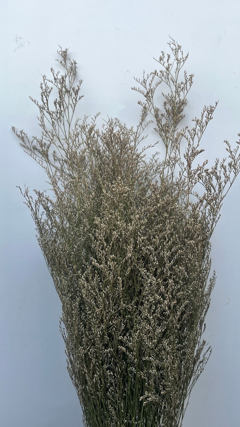 image_0345CFB1-E297-4C4D-A7BC-179EA971985F_1758096205