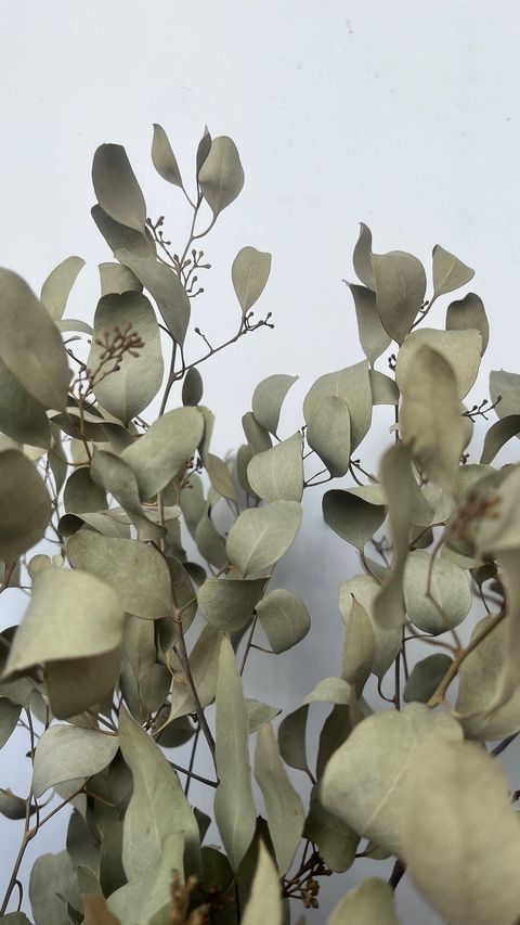 image_42F7EE61-AAC9-4CA6-9E04-18B8670895F5_1758096266