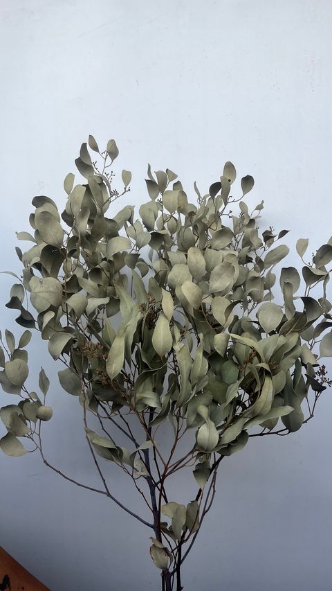 image_47DEF97E-86C7-4A96-A6AB-3521815D95A8_1758096266