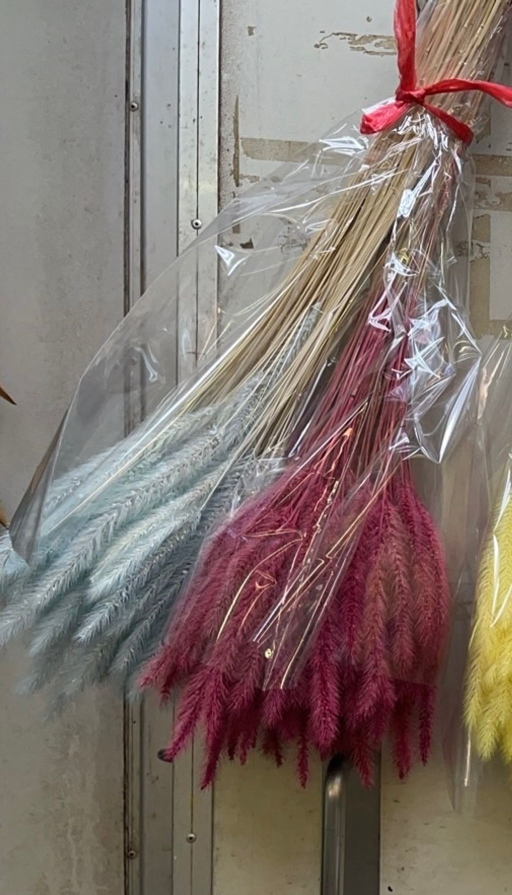 image_71F3951D-69B1-4659-A7F5-AB88EDC08760_1758328402