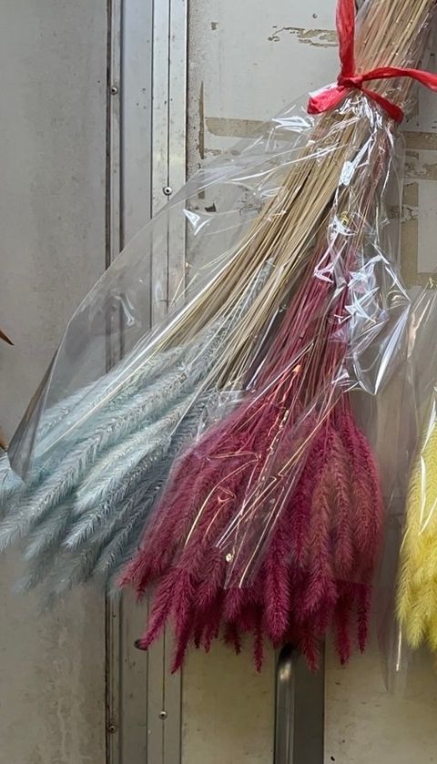 image_71F3951D-69B1-4659-A7F5-AB88EDC08760_1758328402