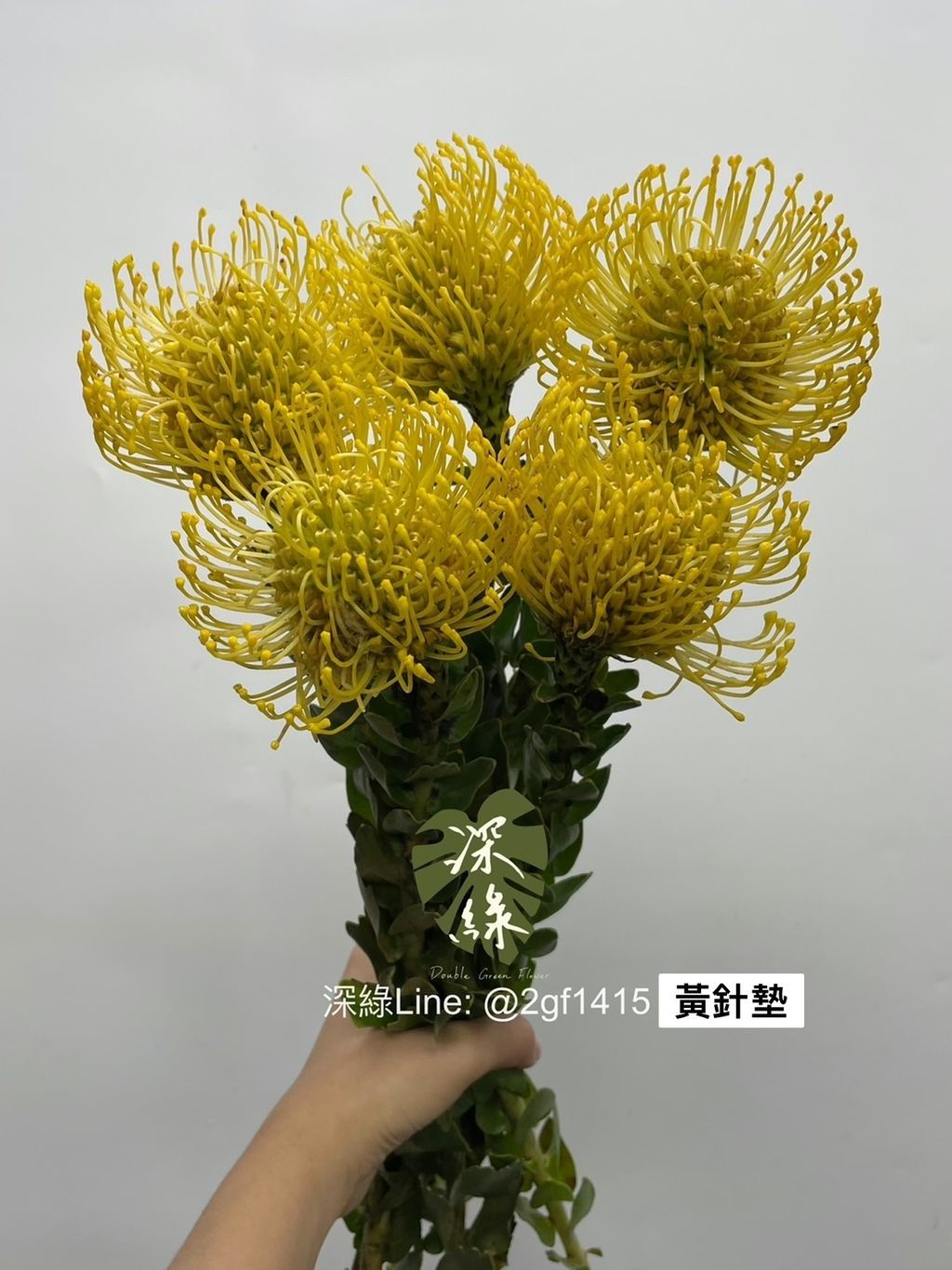 S__2818260