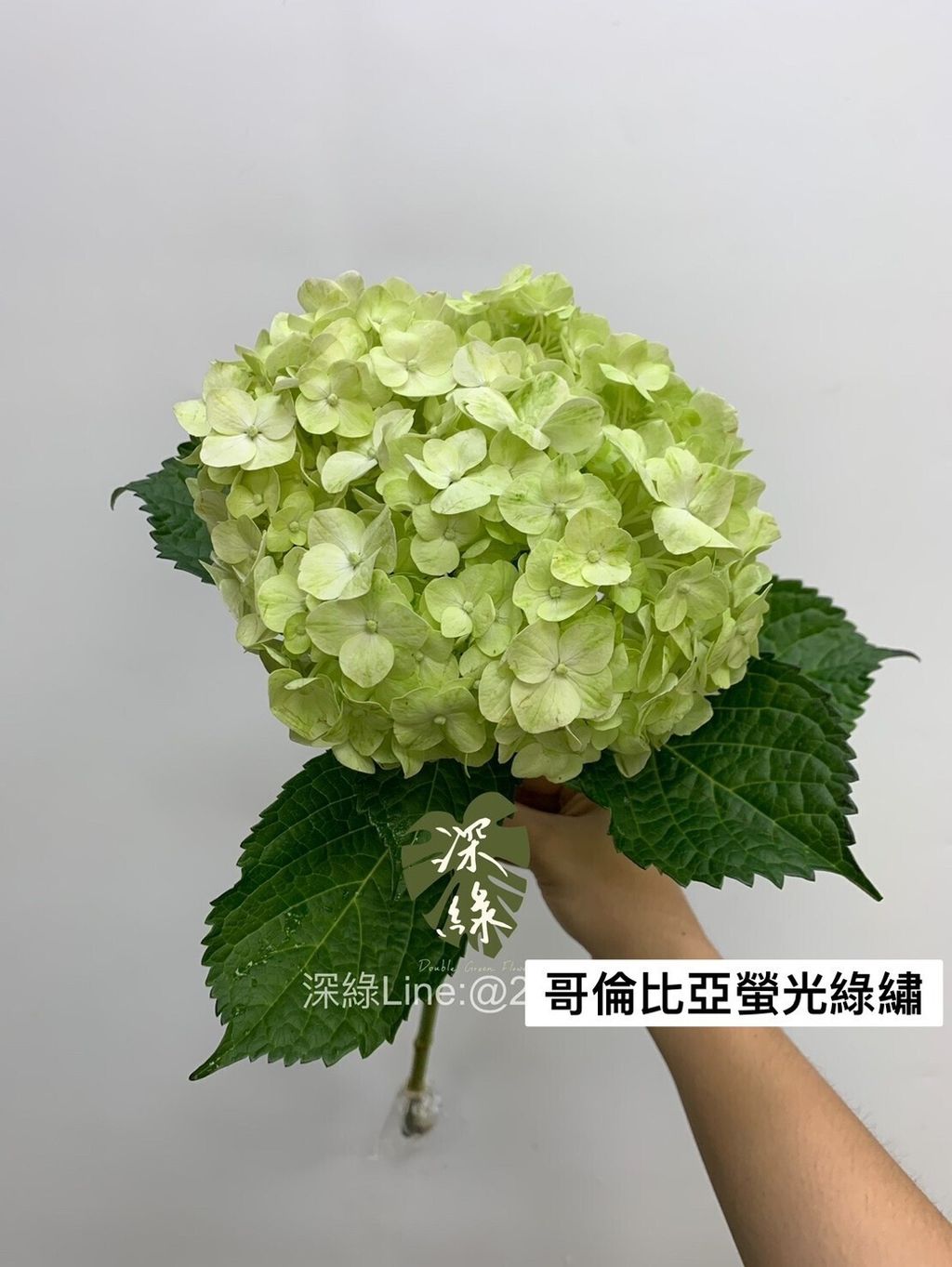 99e441d7d8dc96057fd0babe5252cf8eff4f976f