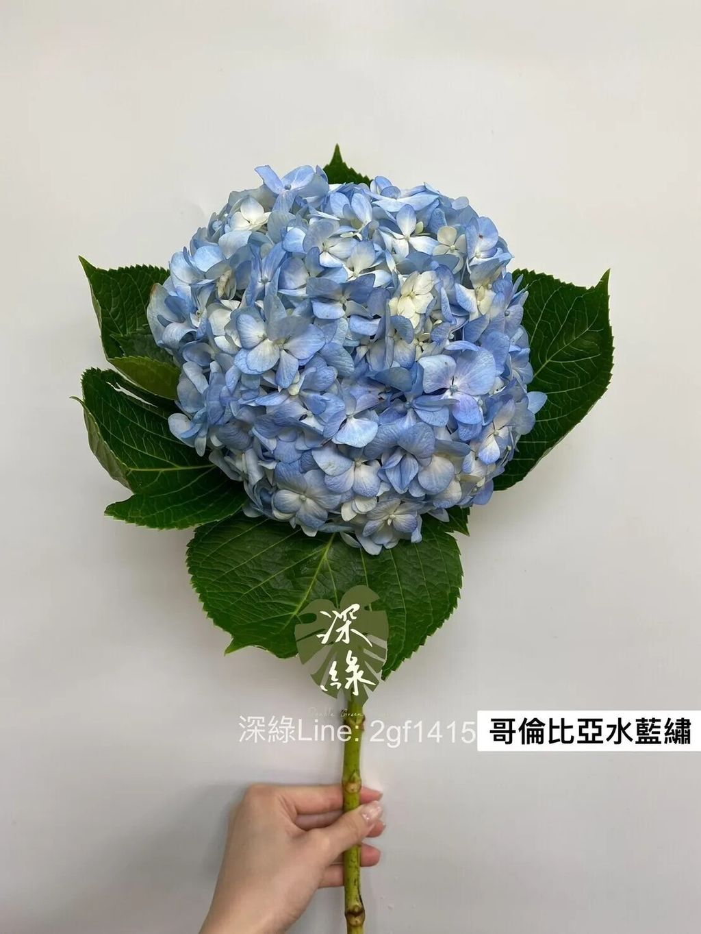 messageImage_1758428240813