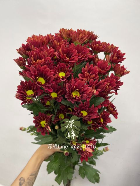 eZy Watermark_11-10-2024_12-31-30-5290下午-1728621176333