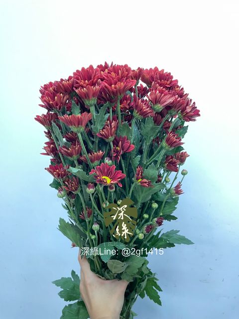 eZy Watermark_11-10-2024_12-31-44-3500下午-1728621176153