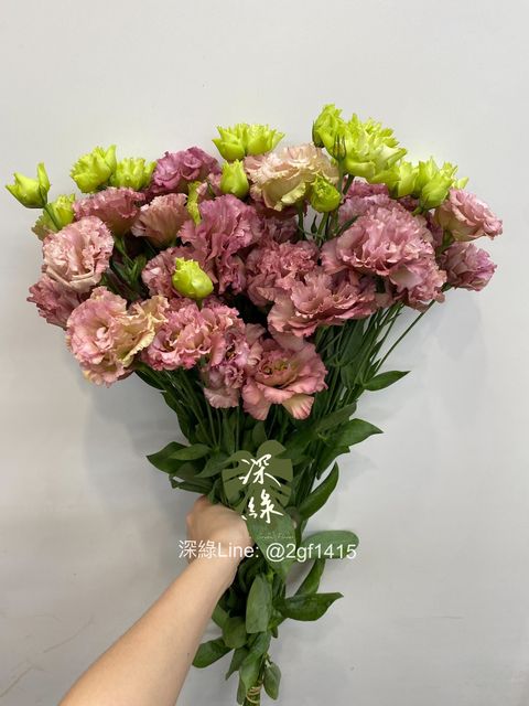 S__33202306
